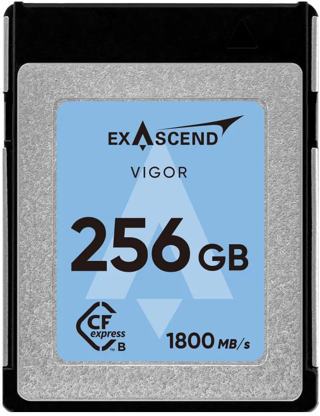 Karta pamięci ExAscend Vigor CFexpress B 256 GB