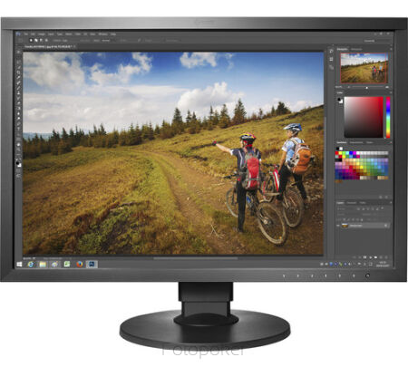 Monitory