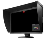 Monitor graficzny ColorEdge CG2420 - 2