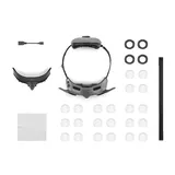 DJI Goggles Integra Motion Combo