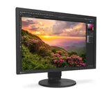Monitor graficzny ColorEdge CS2400S - 2