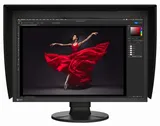 Monitor graficzny ColorEdge CG2400S - 2