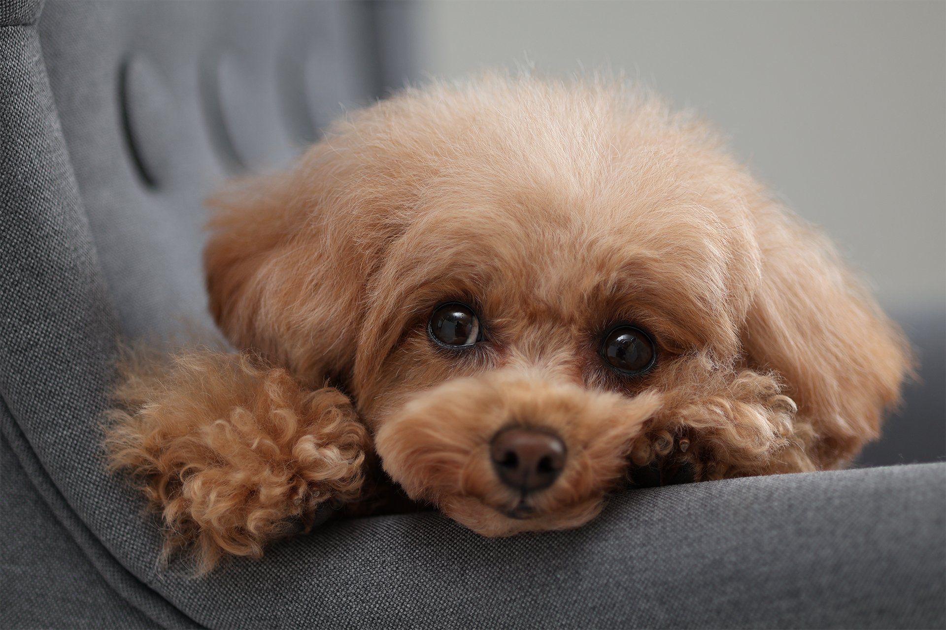 Lekki, kompaktowy i gotowy w podróży