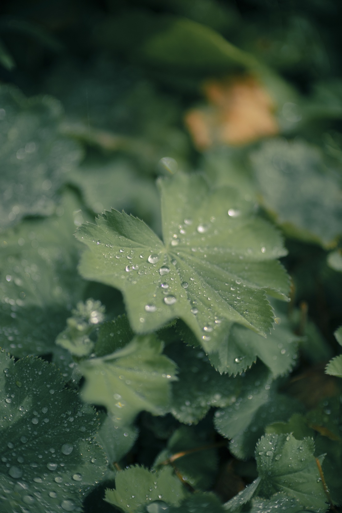 Ergonomia i kontrola w zasięgu dłoni Ergonomia i kontrola w zasięgu dłoni