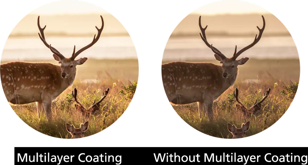 Sprawdzony układ optyczny Nikon