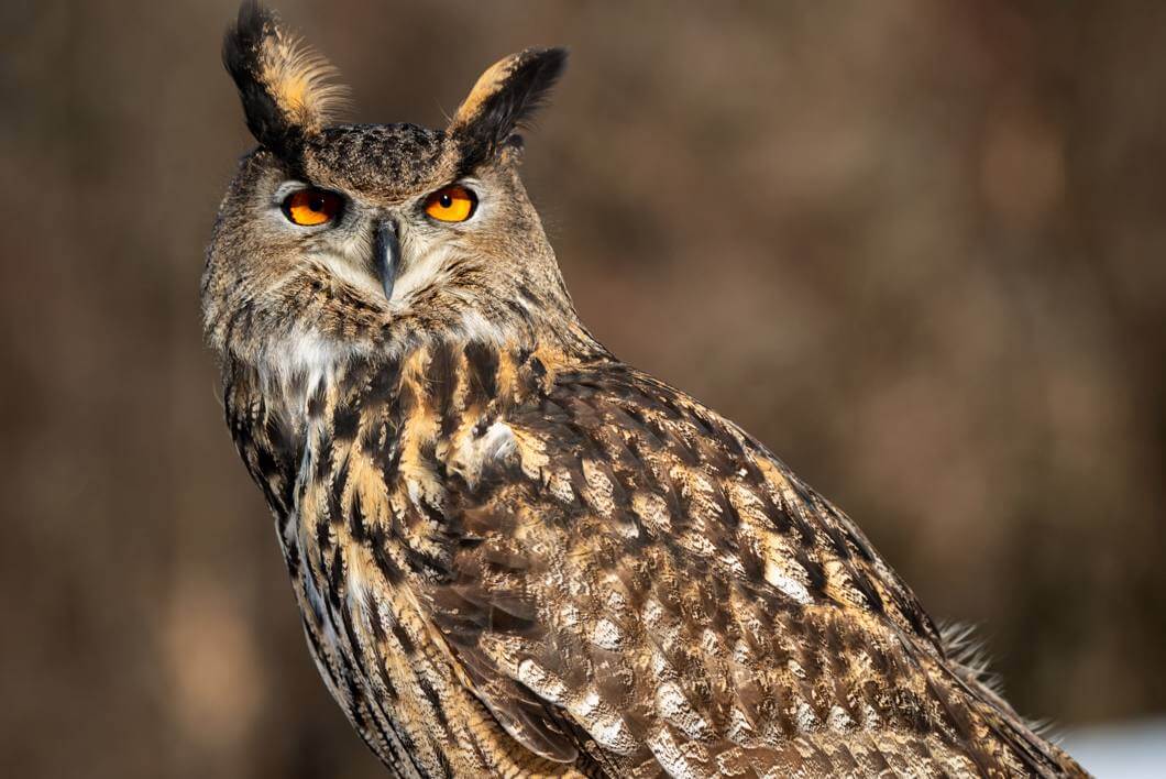 Tamron 150-500 – stabilizacja VC i praca z ręki