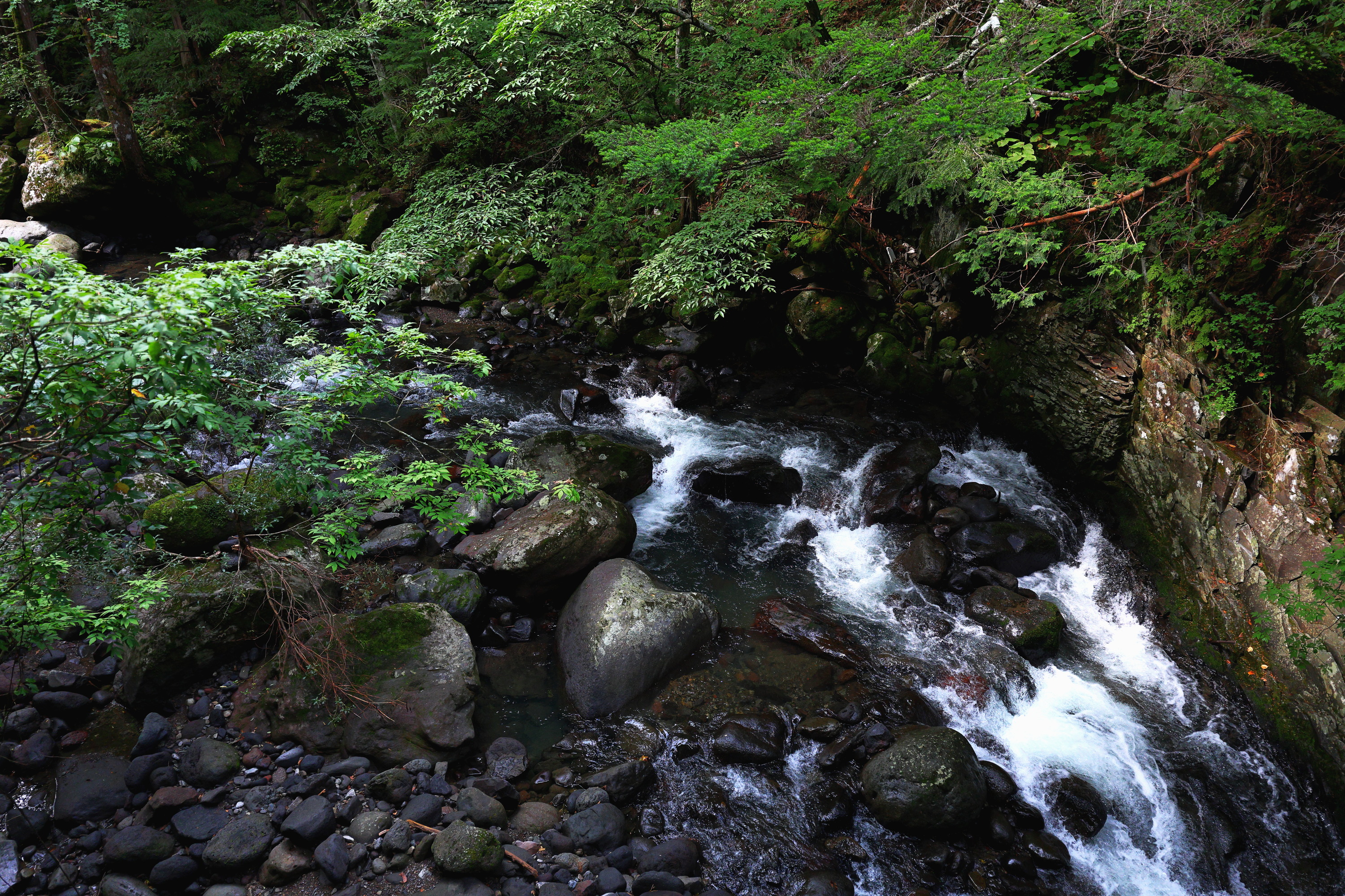 Kreatywna fotografia z bliska Canon RF 16–28mm