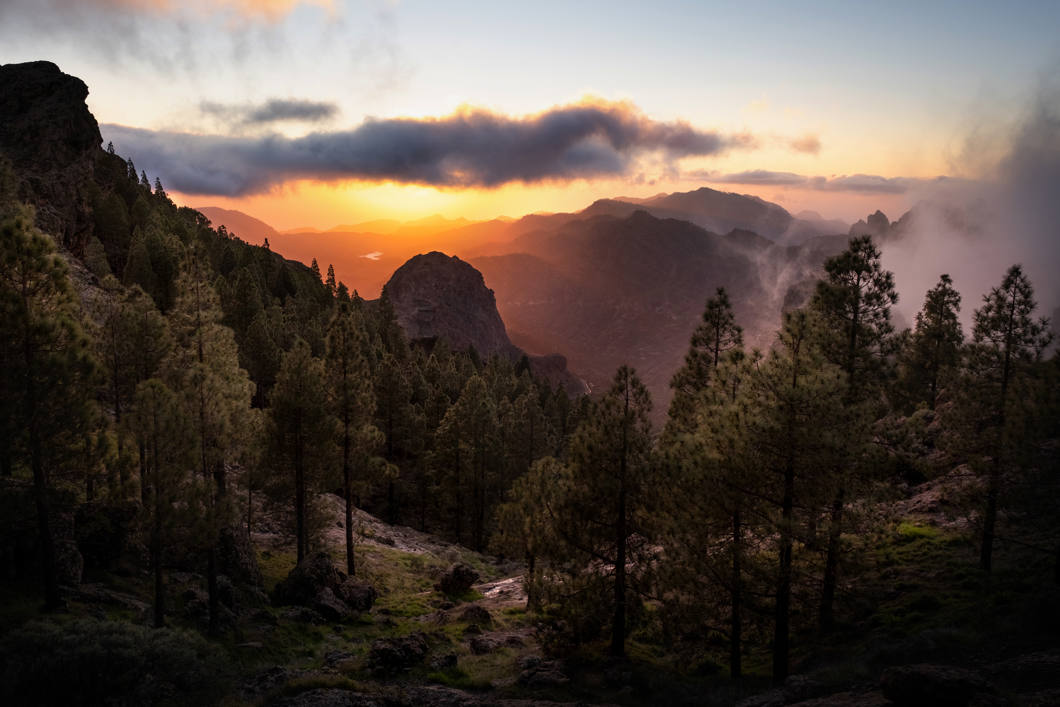 Tamron 11-20mm zastosowanie Tamron 11-20mm zastosowanie