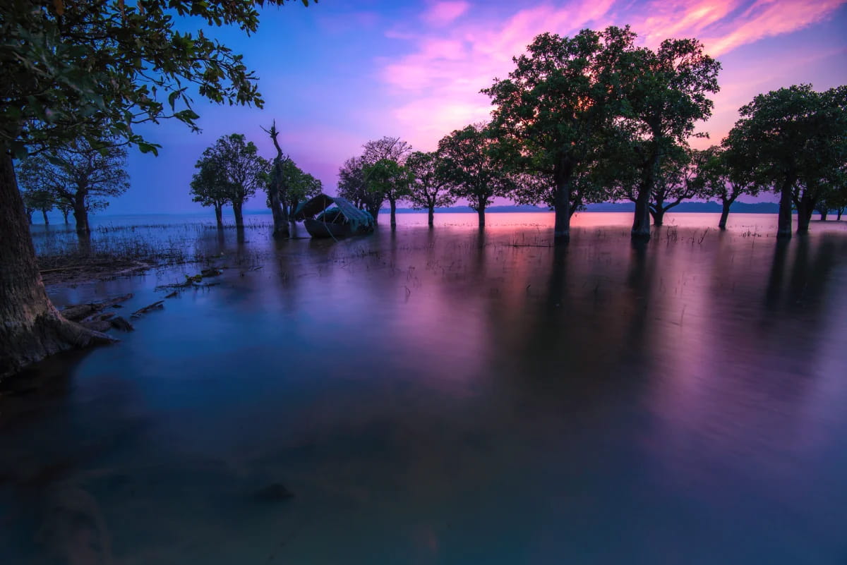 Powłoki hydrofobowe i ASC