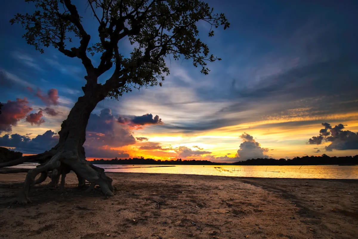 Przykład efektu z filtrem