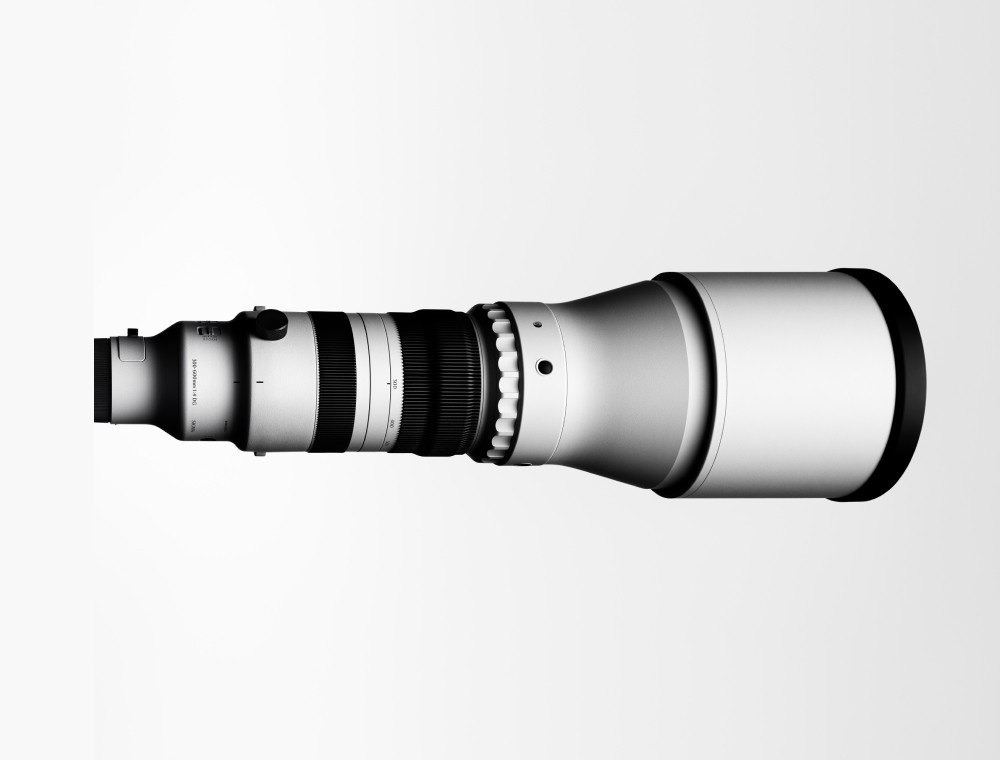 Sigma 300-600mm F4 DG OS | Sports