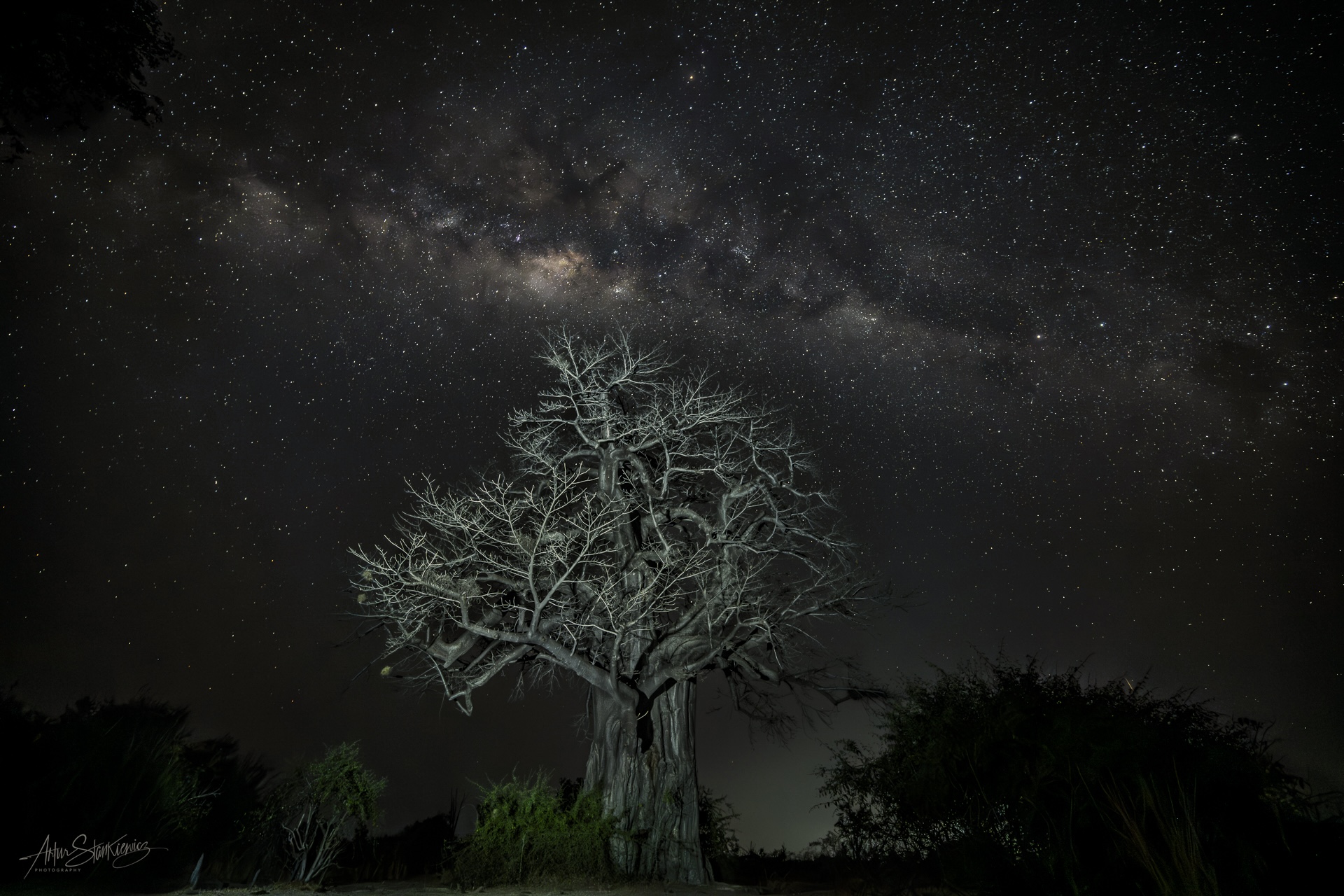 Fot 10. Droga mleczna z wielkim Baobabem, Południowa Luangwa, Zambia. Nikon Z8 z 14-30/4 S przy 14 mm, 20 sec przy f4, ISO4000; , jedno ujęcie. Statyw Gitzo Traveler.