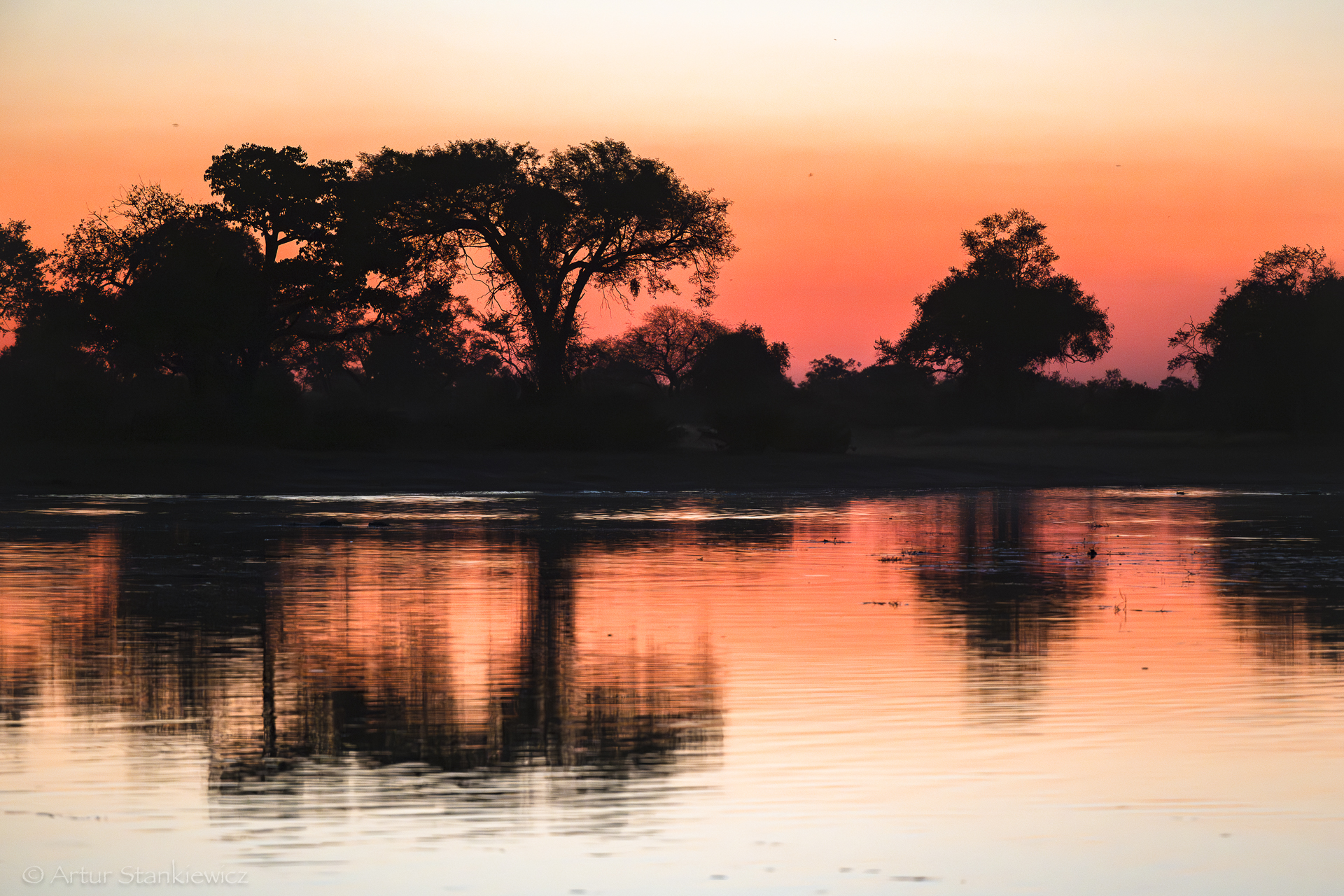 Fot 3. Impresja o zachodzie słońca, Linyanti, Botswana. Nikon Z8 z 70-200/2.8 VR S przy 200 mm, 1/50 sec przy f2.8, ISO5000.