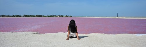 Nikon Z 24-70mm – równomierna jasność w całym kadrze