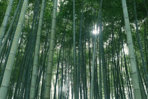 Sigma 35mm F1.4 DG II | Art – odporność na kurz i zachlapania