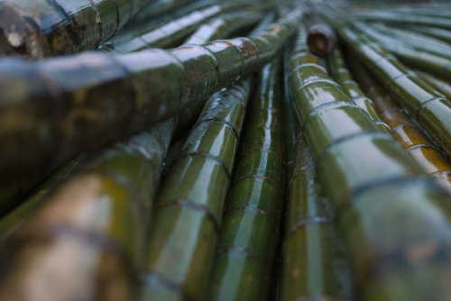 Sigma 35mm F1.4 DG II | Art – odporność na kurz i zachlapania