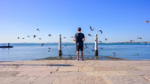 NIKKOR Z 24-50mm – filmowanie i płynna praca AF