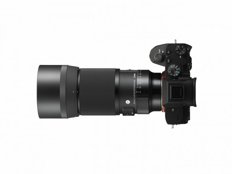 Sigma 105 mm F/2.8 Sony E