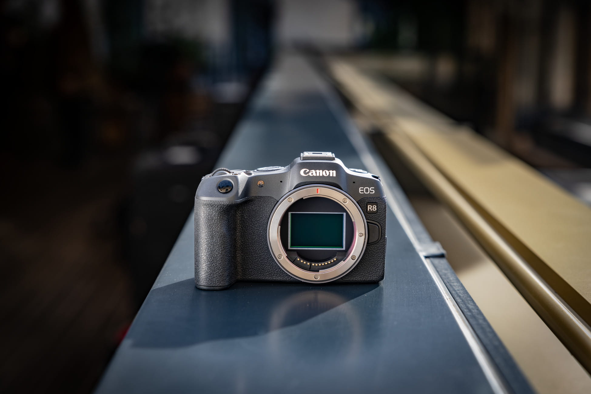 Canon EOS R8 z obiektywem RF 16-28mm