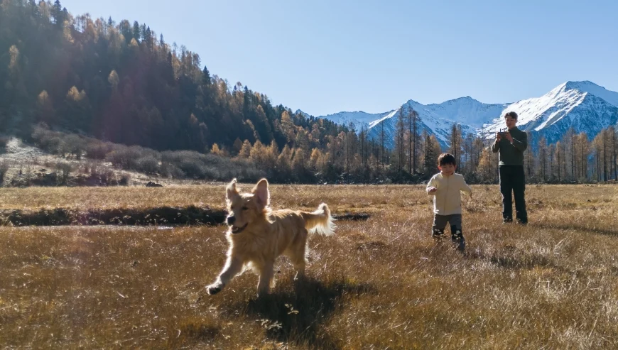 Dron DJI Flip Fly More Combo