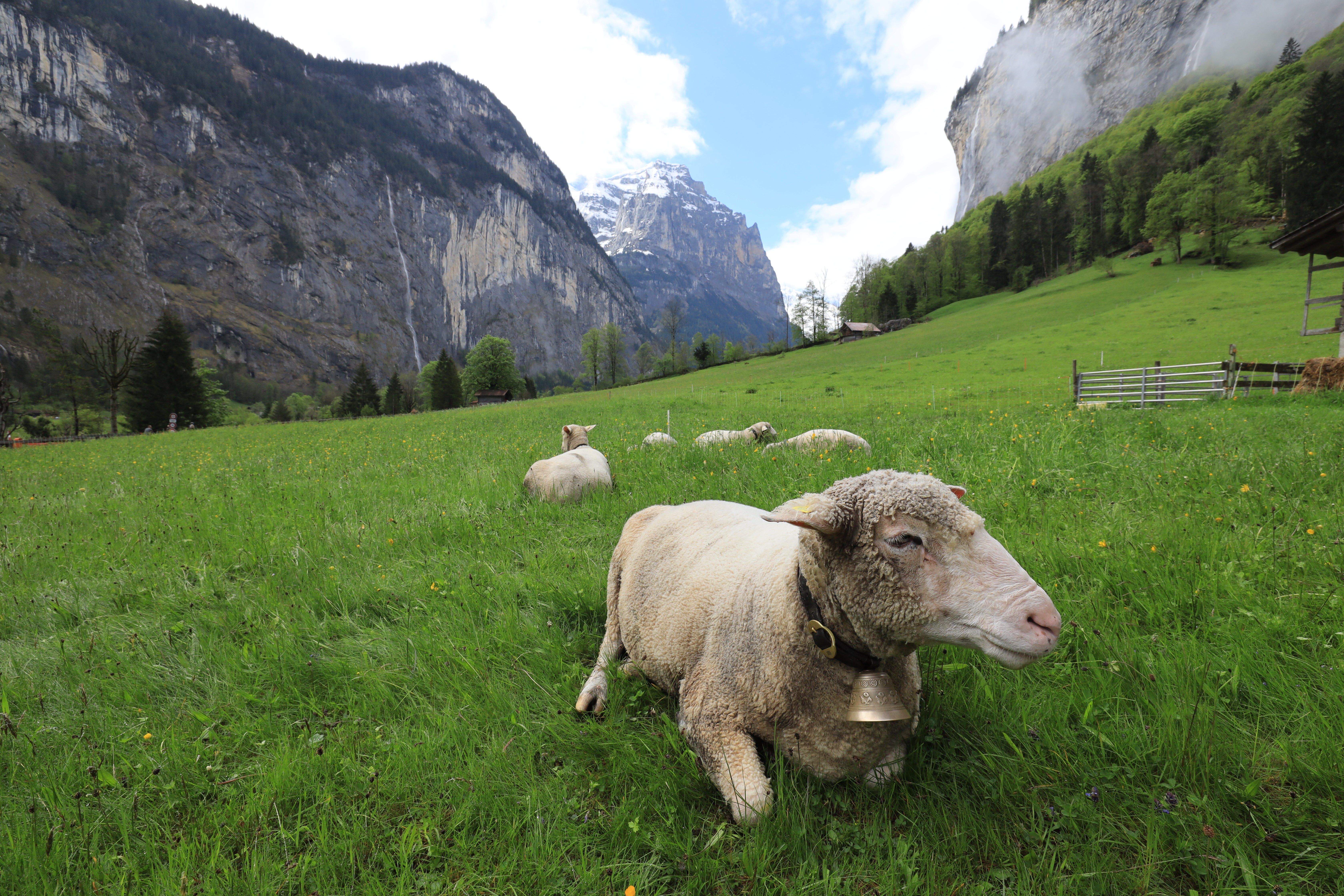 Zaawansowane powłoki optyczne