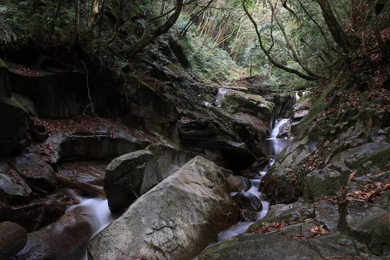 Atrakcyjny bokeh i plastyka obrazu