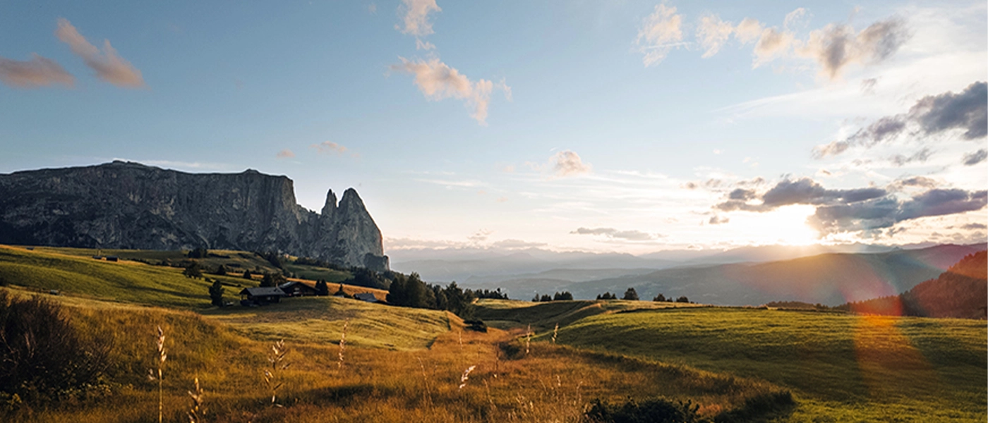 Szybki autofocus i ActiveTrack 6.0 – zawsze ostry obraz Szybki autofocus i ActiveTrack 6.0 – zawsze ostry obraz