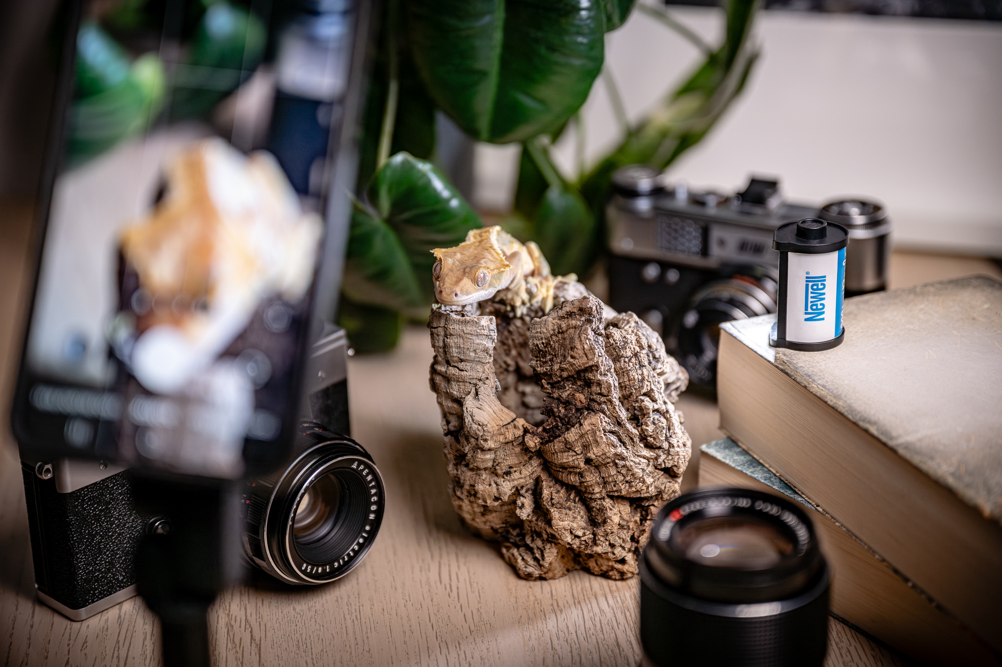 Idealny gadżet dla twórców i na prezent