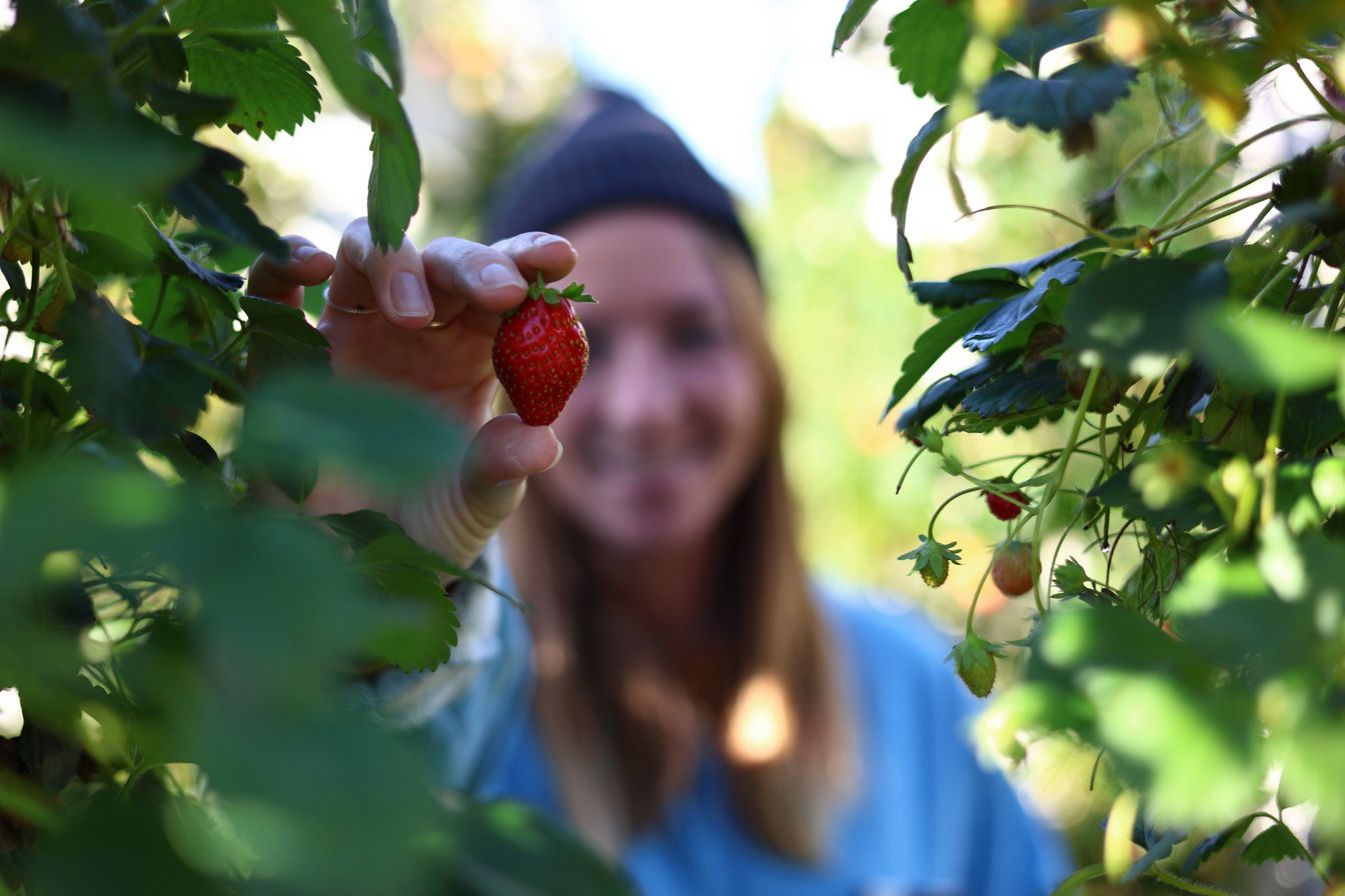 Zaawansowana łączność i praca w chmurze Zaawansowana łączność i praca w chmurze