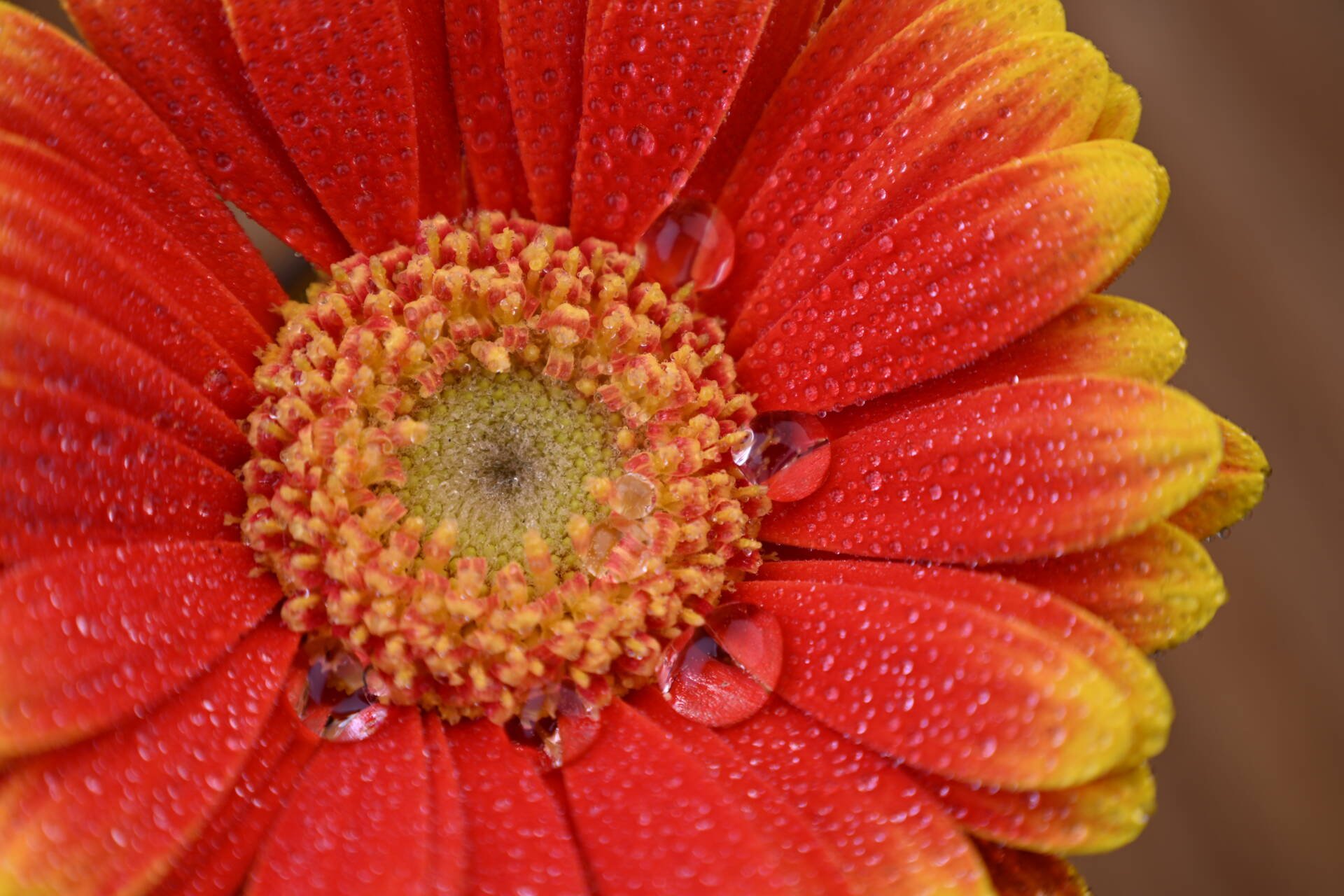 Zaskakujące możliwości makro